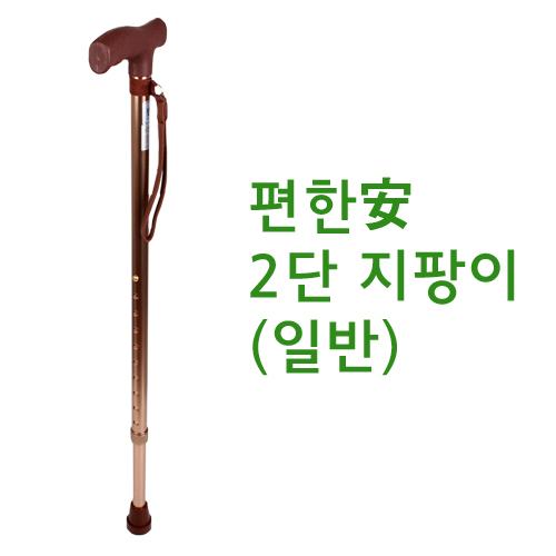 편안한 2단지팡이